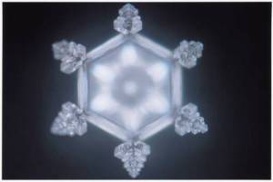 1d687559fa_8218742_med