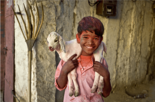 Schermata 2016-01-25 alle 13.04.15